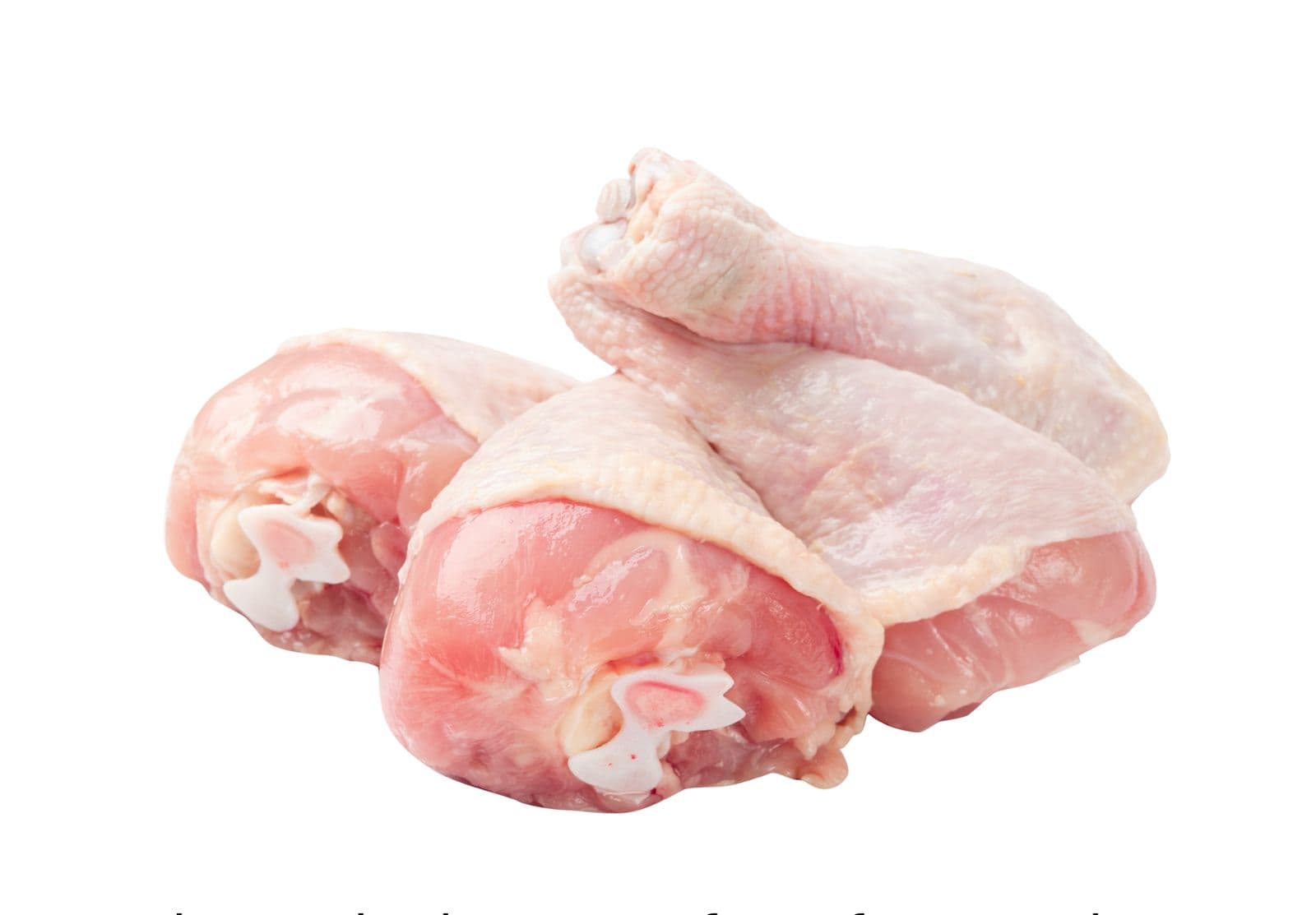 Organic Kampong Drumstick